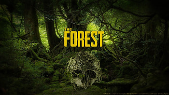 The Forest, survival, crafting, cannibal, video game, game, open world, gaming, mutant HD wallpaper
