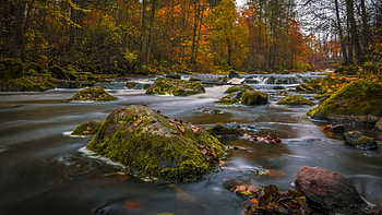 Colors Of Autumn, autumn, nature HD wallpaper
