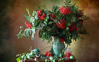 Rowan Still Life, rowanberries, vase, still life, rowan HD wallpaper
