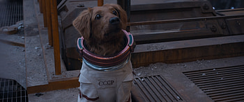 Guardians of the Galaxy 3 Cosmo the Space Dog, movie, Guardians of the Galaxy Vol. 3 HD wallpaper
