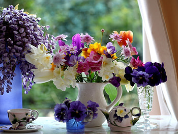 flowers, still life, graphy, nature, beauty HD wallpaper