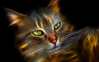 Beautiful 3D Cat, greeneyes, cat, beautiful, 3d HD wallpaper