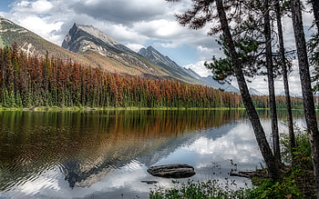 Honeymoon Lake in Canada, trees, calm, Canada, lake, mountains HD wallpaper