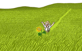 Happy Farmer, farmer, field, sunflower, happy, artist, artwork, digital-art HD wallpaper