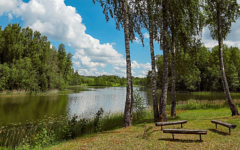 Birches by Lake, clouds, benches, birches, lake, Latvia HD wallpaper
