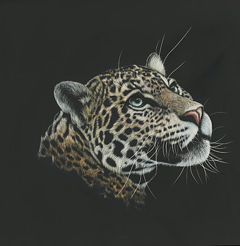 Leopard Painting , leopard, animals, painting, artist, artwork, digital-art, predator HD phone wallpaper