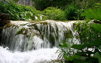 Nature, Waterfall, Vegetation, Flow, Lopouhi, Burdocks HD wallpaper