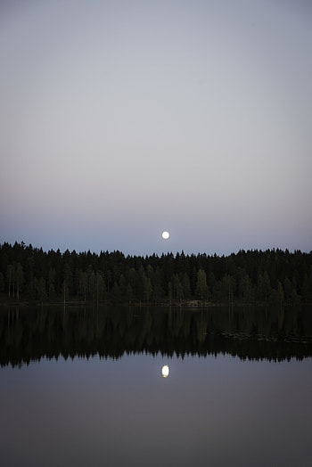 Landscape, Nature, Water, Moon, Lake, Reflection, Forest HD phone wallpaper