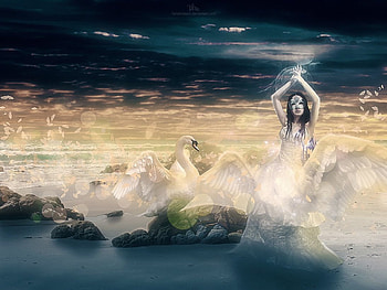 Swan Song, lady, swan, fantasy, swansong HD wallpaper