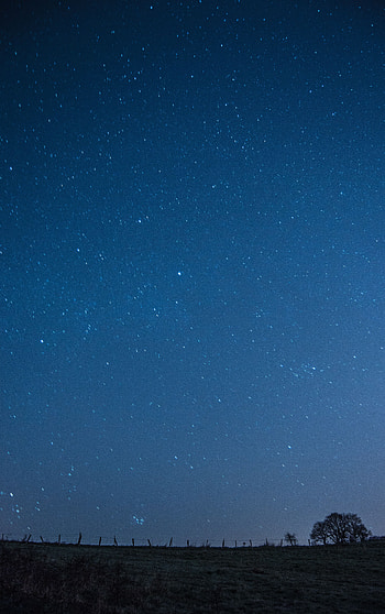 Nature, Stars, Night, Dark, Starry Sky, Polyana, Glade HD phone wallpaper
