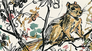Artistic Squirrel, Animal, squirrel, artistic HD wallpaper