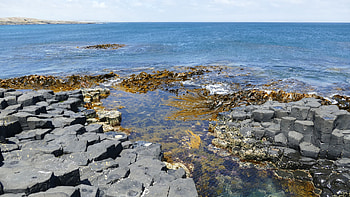Northern Ireland, Basalt column, Giants Causeway HD wallpaper