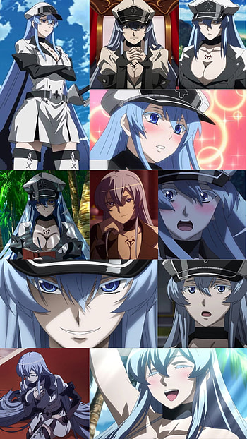 Esdeath, collage, Akame_ga_kill, phoenix_530, anime HD phone wallpaper