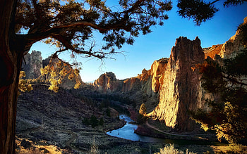Smith Rock in Oregon is always gold, rocks, tree, usa, river, landscape, sky HD wallpaper