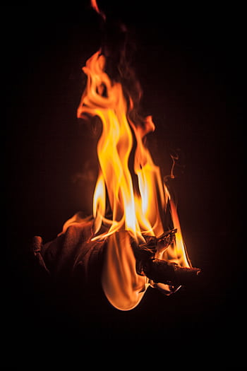 Intense close-up shot of vibrant flames engulfing firewood against a dark background. HD phone wallpaper