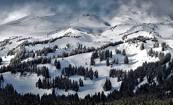 Nature, Trees, Mountains, Snow, Usa, United States, Oregon HD wallpaper