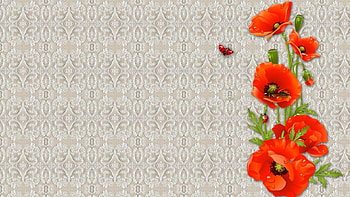 Poppys Lace Ladybug, poppies, fashion, wild flowers, ladybug, bright, lace HD wallpaper