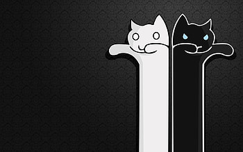 Cats HD wallpaper