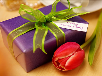 Gift for a Mother..., sunshine, tulip, sunlight, ribbon, present, beautiful person, unique, life, violet, green, red, mother, happy day, forever HD wallpaper