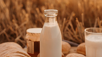 High-definition milk , Dairy product, Milky white, Refreshing drink HD wallpaper