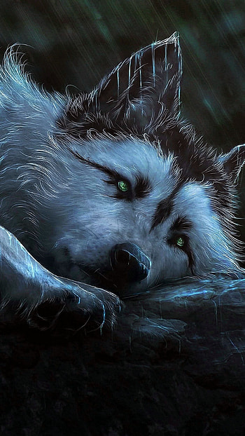 S6 wolf , Professional quality, Premium selection, Tailored for S6 devices HD phone wallpaper