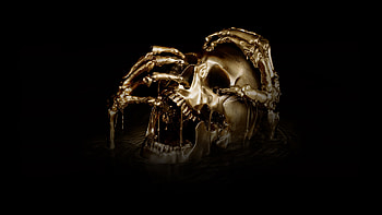 Black Sails TV Series, Pirate Drama, Cape Town Film Studios, Lionsgate HD wallpaper