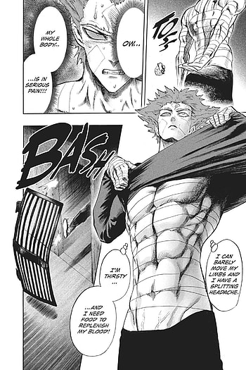 Garou manga, human_monster, anime, one_punch_man, hero_hunter HD phone wallpaper