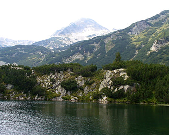 Pirin mountain, river, graphy, green, bulgaria, trees, rocks, mountain HD wallpaper