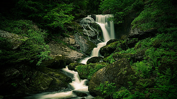 Waterfall, nature, green, stream HD wallpaper