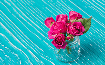 Roses, blue, rose, pink, glass jar, flower HD wallpaper
