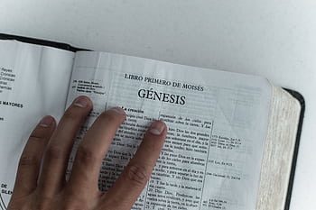 Close view of Genesis chapter in Spanish Bible, hand touching page. HD wallpaper