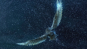 Legend of the Guardians: The Owls of Ga'Hoole, Enchanting owls, Dreamworks film, Fascinating creatures HD wallpaper