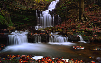 Waterfall, nature, forest, water HD wallpaper