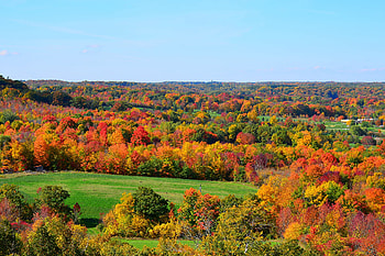 Nature, Trees, Sky, Autumn, Hills HD wallpaper
