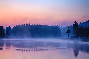 Beautiful sight, graphy, bulgaria, trees, forest, sunset HD wallpaper