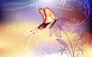 Abstract, Flowers, Patterns, Flight, Butterfly HD wallpaper