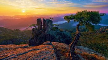 Some pines on the rocks in South Korea, Daedunsan, hills, colors, clouds, landscape, trees, sky, rocks, sun HD wallpaper