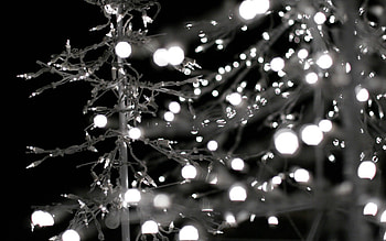 Christmas Lights Monochrome and stock HD wallpaper