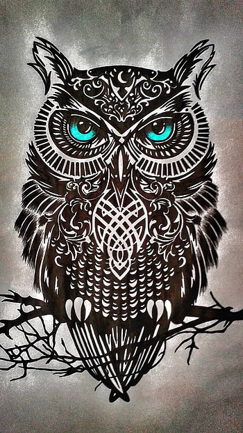 Animal, owl HD phone wallpaper
