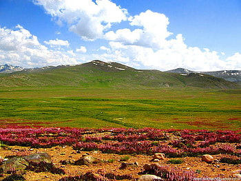 Deosai - One of the Hihgest Places in World, deosai, beautiful, pakistan, highest HD wallpaper