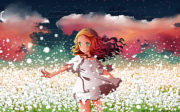 Curious, cute, anime girl, outdoor, meadow HD wallpaper
