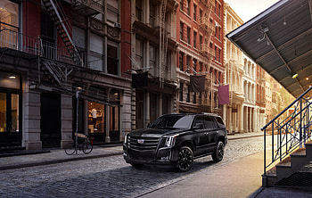 2019 Cadillac Escalade Sport Edition, cadillac-escalade, cadillac, cars, 2019-cars HD wallpaper