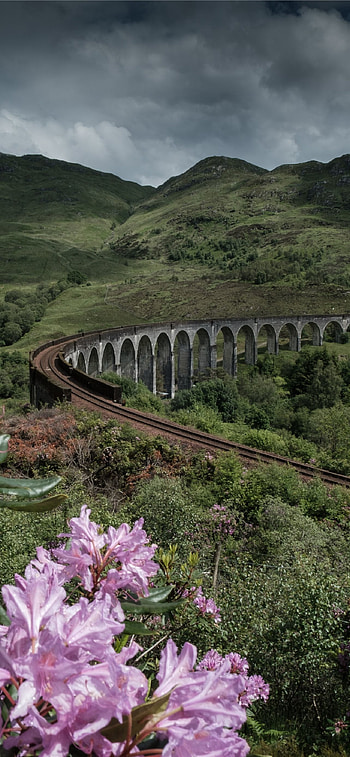 Best Scotland , High definition , Mobile backgrounds, Style on the go HD phone wallpaper