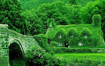 Building HD wallpaper
