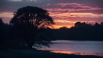 Majestic tree silhouette by tranquil lake at dusk, sunset, tree, silhouette, landscape, Digital Art HD wallpaper