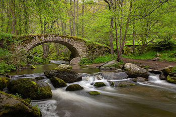 Stone Bridge at Gorges of the Monne, France, gorge, bridge, nature, france, forest HD wallpaper