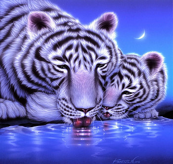 White Tigers, artwork, tiger, cub, painting, water, drinking HD wallpaper