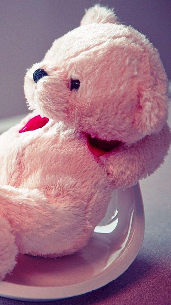 Pink Teddy Bear, Cute, Small Teddy HD phone wallpaper