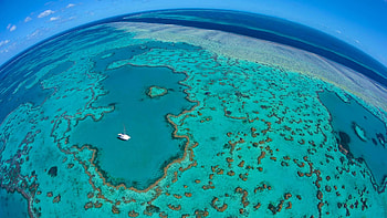 Great Barrier Reef, Queensland, Australia, Breathtaking underwater scenery HD wallpaper
