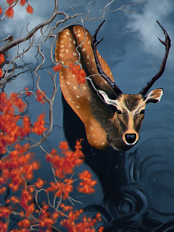 Water, Art, Branches, Wildlife, Deer HD phone wallpaper